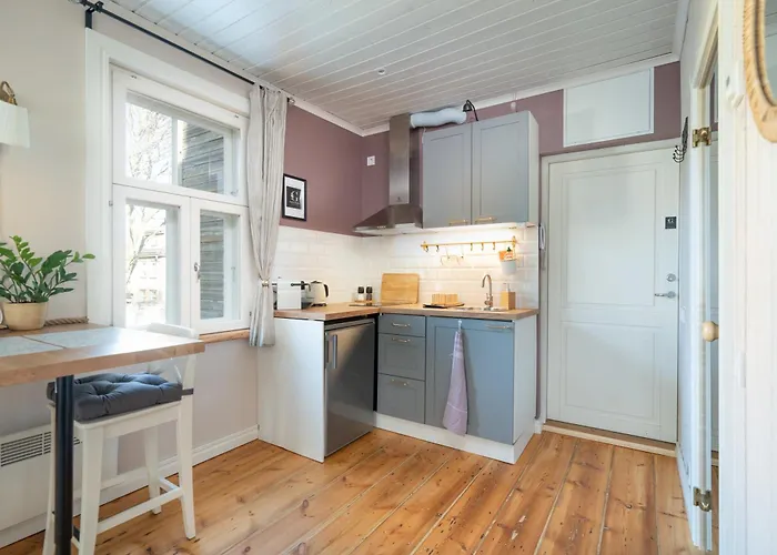 Garden Next To Telliskivi & Old Town 塔林