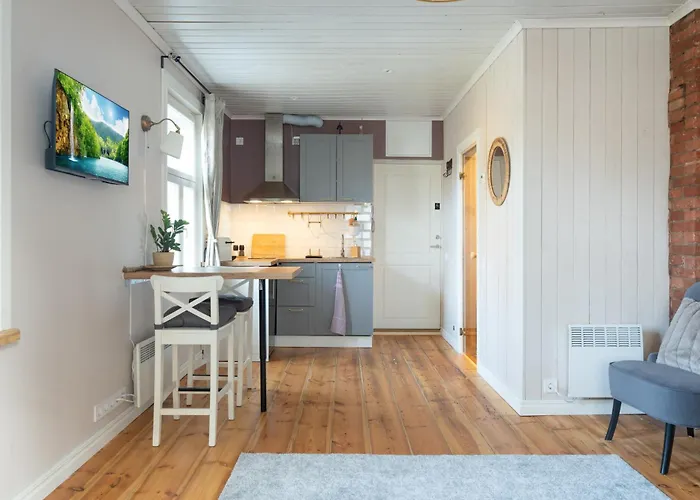 Garden Next To Telliskivi & Old Town